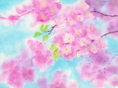 Roze kersenbloesems in een blauwe lucht aquarel