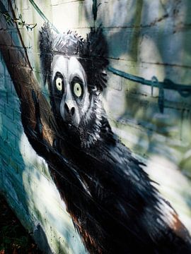 Streetart: Der Affe von Momentaufnahme | Marius Ahlers