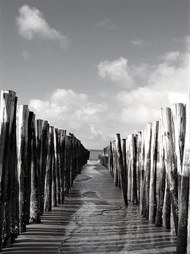 Paaltjes in het zand van De FotoBakker