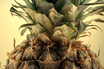 Stilleven ananas van Humphry Jacobs