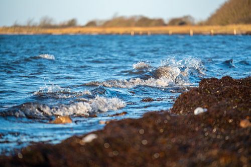 View of the waves and the water of the sea