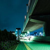 Tokyo - Under the Bridge