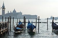 Venise