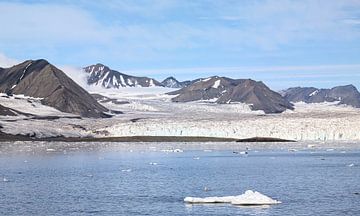 Spitsbergen, motief 4 van zam art