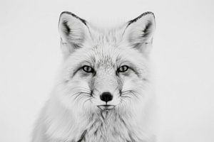 Fuchs