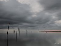 Angelruten