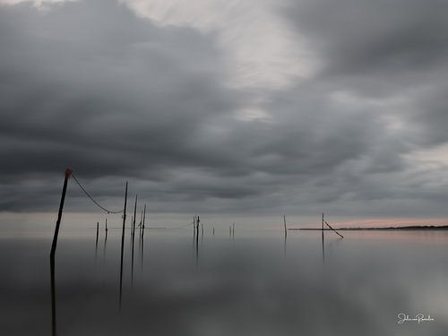 Cannes à pêche sur Jules van Rosmalen