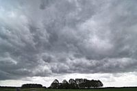 Whalesmouth lucht