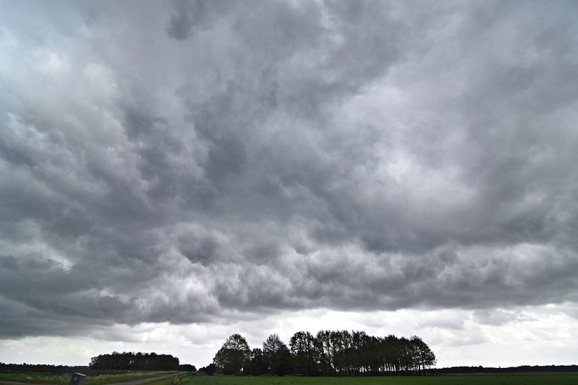 Whalesmouth air by Piet Kooistra