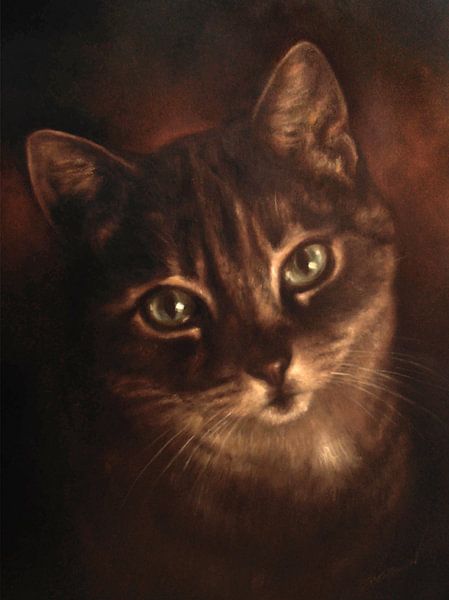 Into the eyes of Sincerity by Paula Collewijn