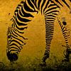 Zebra on Gold van Aimelle ML
