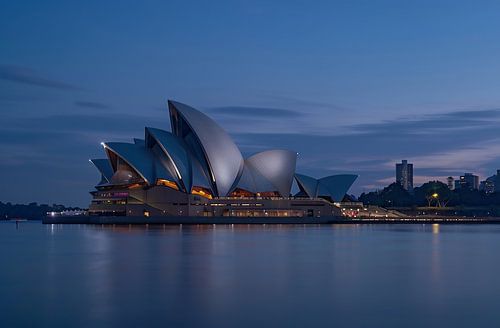 Sydney Opera House at the blue hour