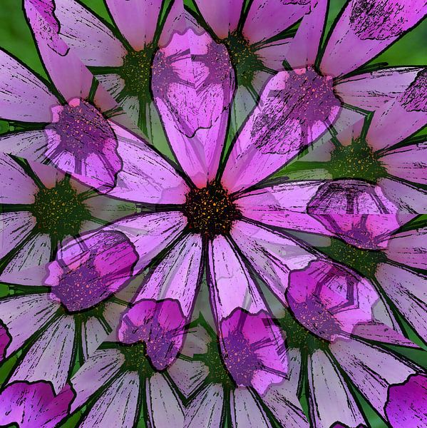 Délire de Cosmea par Jose Lok