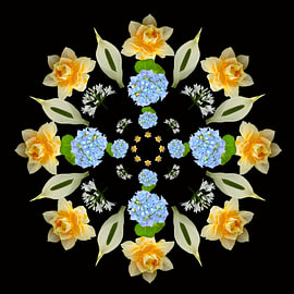 fleurs 4 sur Joke ten Veen