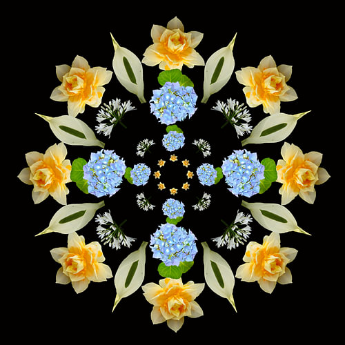 Blumen 4