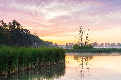 Atmosferische ochtend in Oberlausitz van Daniela Beyer