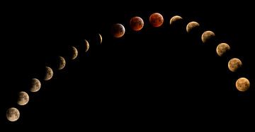 Lune de sang, éclipse lunaire sur Inge van den Brande
