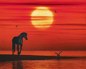 Ein Pferd und eine Möwe