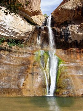 Lower Calf Creek Falls von Renate Knapp
