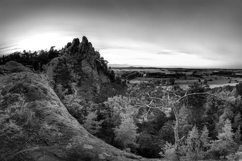 Harz Landschaft am Hamburger Wappen in schwarz-weiß von Manfred Voss, Schwarz-weiss Fotografie