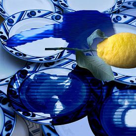 Blue Garden sur True Color Stories