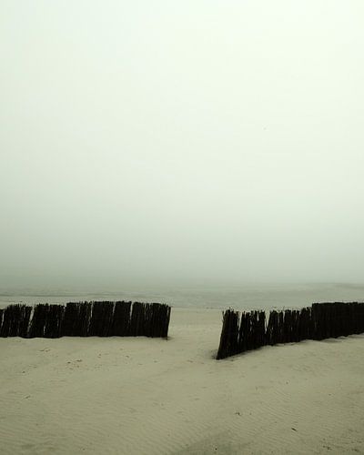 Öffnung ins Nirgendwo