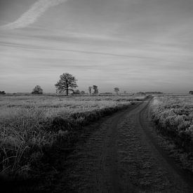 Vorst op de heide van Wytze Plantenga