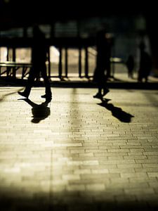Two shadows
