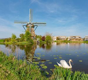Poldermolen De Zijllaanmolen, Leiderdorp, , Zuid-Holland, Nederland van Rene van der Meer