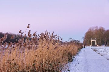 Sonnenaufgang an der Waldschneise mit rosa Himmel, Schilf und Zugbrücke von Paul van Putten