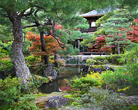 Jardin zen à Kyoto sur Gayane Nakada