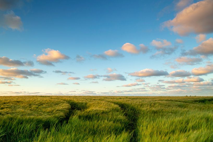 Groningerlandschap by Hollandse Kijker