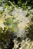 Botanische Brillanz. Abstrakte Landschaft. Sommerbäume