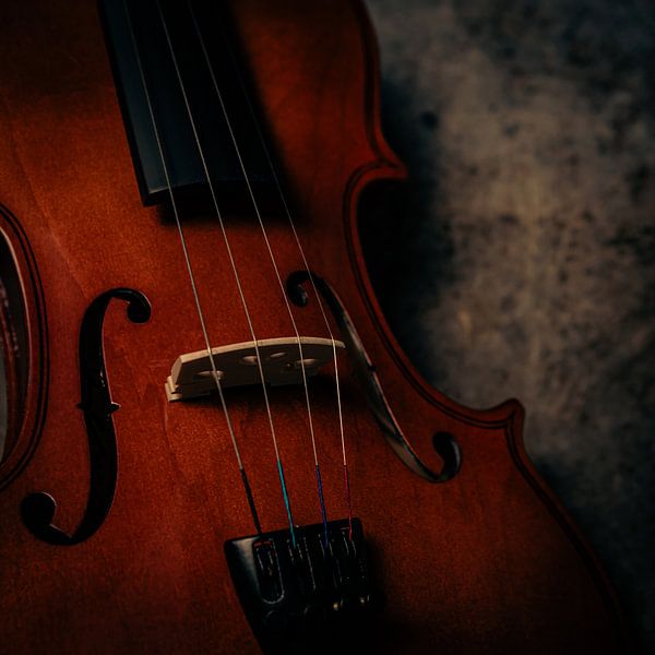 Der richtige String von Rebecca van der Schaft