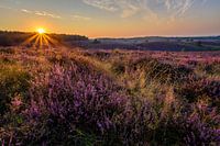 Zonsopkomst Posbank