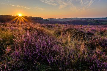 Sunrise Posbank by Richard Guijt Photography