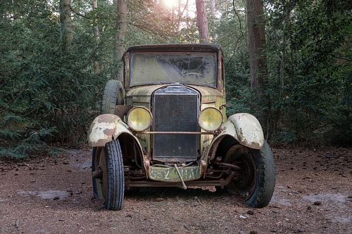 Oldtimer in the forest