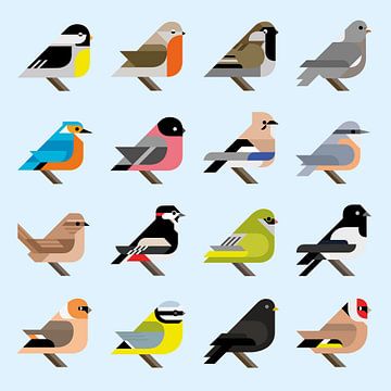Grafische vogels - 16 Nederlandse tuinvogels in stijl (blauwe editie) van Tim de Leeuw