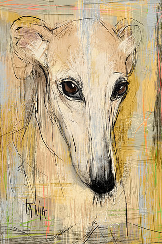 Abstraktes Porträt des spanischen Galgos Ivory