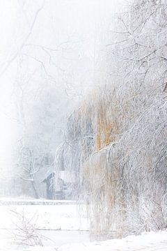 Winter aan het boothuis