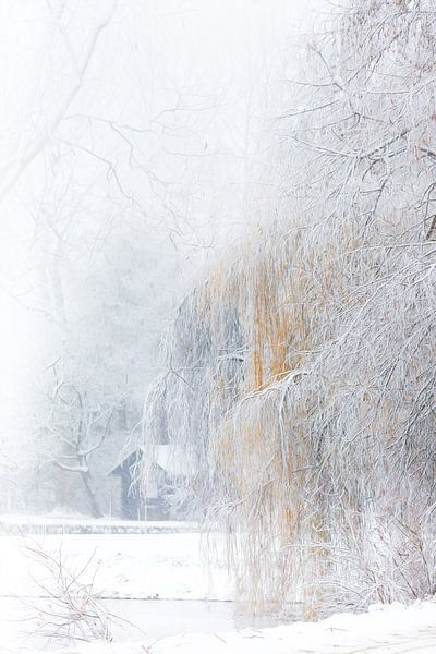 Winter aan het boothuis par Ingrid Van Damme fotografie