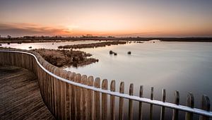 Zonsondergang bij hekwerk in het natuurgebied de Onlanden van Martijn van Dellen