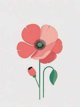 Klatschmohn von Giandra Safaraz