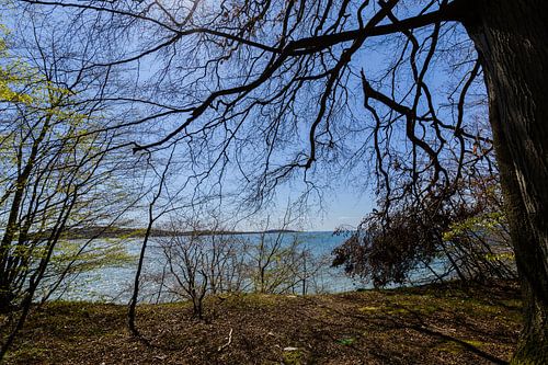 Sur la rive du Goor, sur l'île de Vilm, à Lauterbach sur Rügen