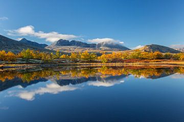 Dørålen Herbst von Sven-Erik Arndt