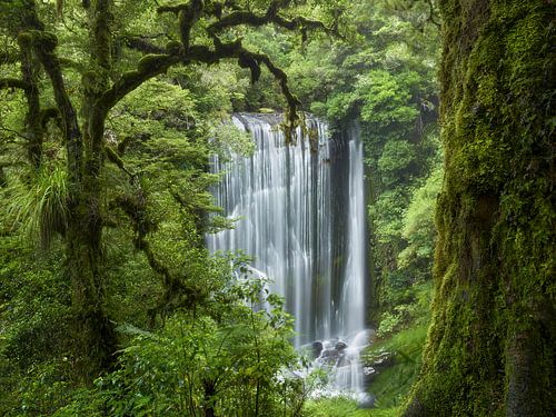 Korokoro Falls I