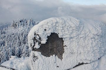 Winter im Oberharz von t.ART