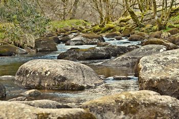 Atmosphère mystique dans le parc national de Dartmoor, Devon, Angleterre