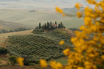Belvedere in Val d'Orcia