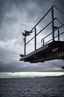 Diving board, Hamar, Norway.